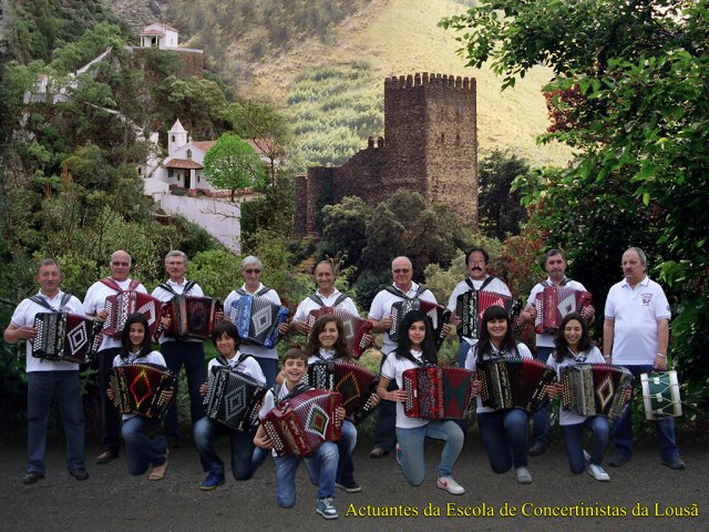 concertinas 01b